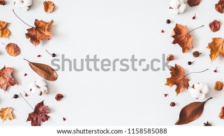Autumn composition. Frame made of cotton flowers, dried maple leaves on pastel gray background. Autumn, fall concept. Flat lay, top view, copy space
