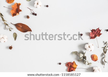 Autumn composition. Frame made of eucalyptus branches, cotton flowers, dried leaves on pastel gray background. Autumn, fall concept. Flat lay, top view, copy space Royalty-Free Stock Photo #1158585127