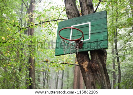 Basketball basket in the woods