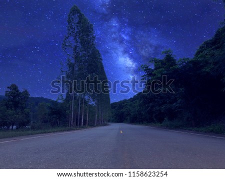 Road passing through the forest with milkyway background