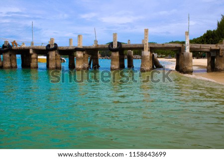 Barnacles Underneath a Pier in Koh Samet, Thailand