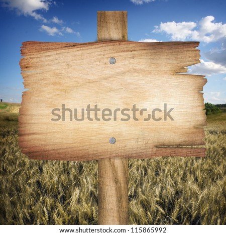 Wood signboard with grass on sky background