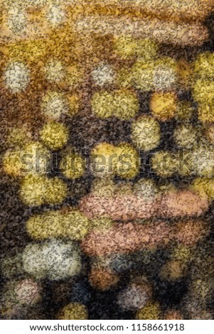 abstract image on a textural background