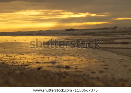 A picture of the morning sun shines over the sea and the sand.