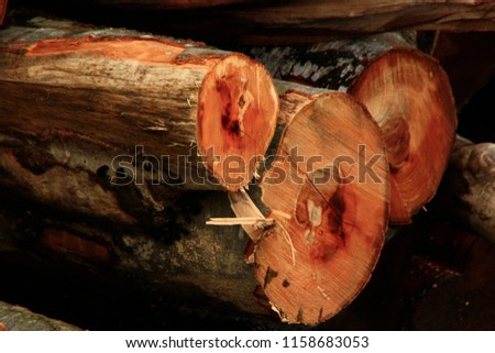 stacked wood or firewood
