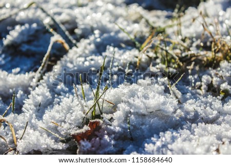Beautiful ice flowers in February, Latvia