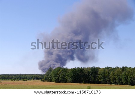 The fire at hot summer in rural farm 