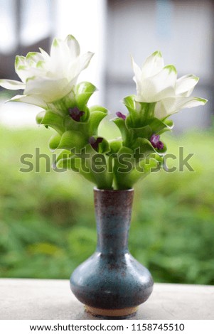 Romantic flowers on background