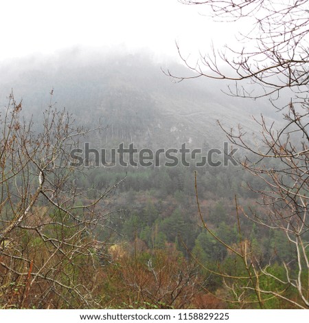 Background landscapes of the beautiful rainy and foggy day in the mountain of south France 