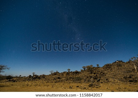 Milky way over Quiver tree