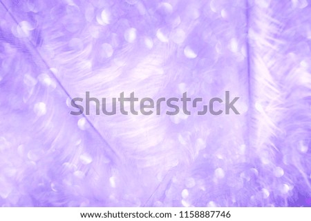 Airy soft fluffy down feathers background, soft focus with bokeh effect. Gentle violet natural background. Violet texture of magic bird feathers.