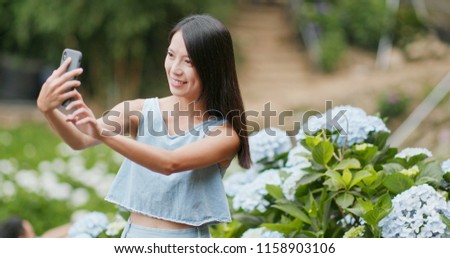 Woman taking photo on cellphone in Hydrangea field
