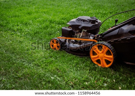Mowing grass. The gardener mows the grass with an electric mower. Work in the garden, spring cleaning. Care of the garden and grass.