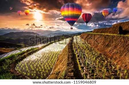 Colorful hot air balloons flying over Terraced Paddy Field in Mae-Jam Village , Chaing mai Province , Thailand. 