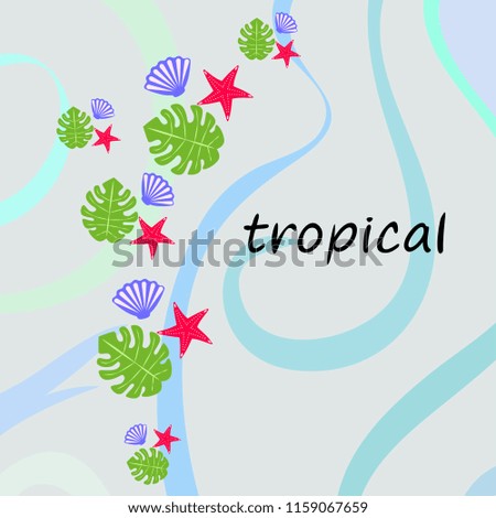 starfish shell tropical plant vector background