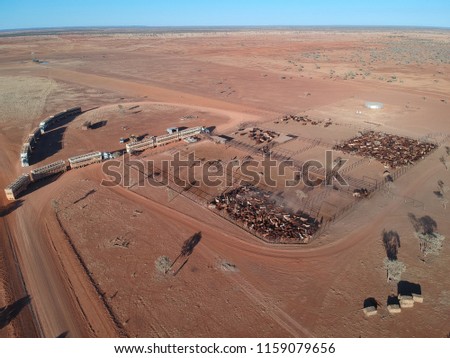 Cattle station drone photography 