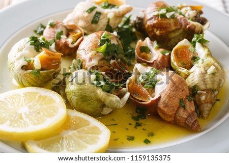 Delicatessen food: whelk, sea snails bulot  with garlic sauce, parsley and lemon close-up on a plate. horizontal
 Royalty-Free Stock Photo #1159135375