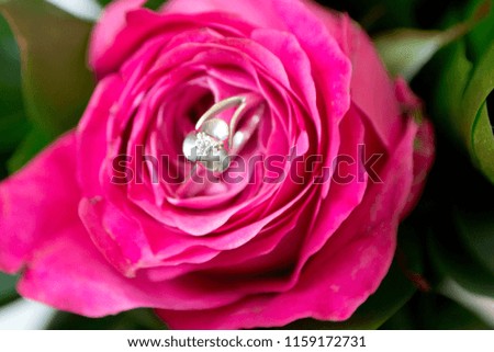 Romantic rose with golden ring, wedding theme