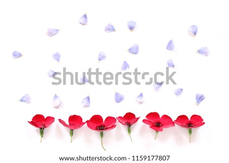 red flowers and blue petals on a white background / floral rain