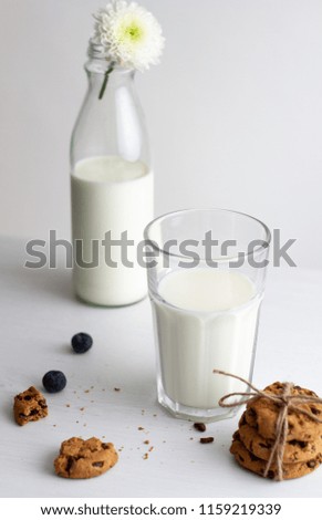 Glass of milk and cookies on white background. high key
