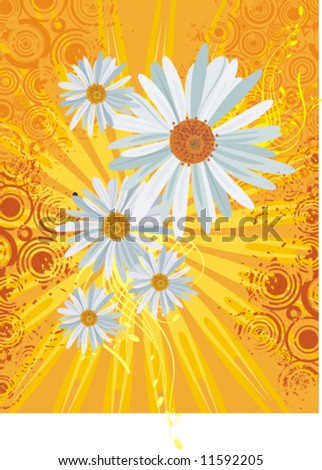 Floral background with daisies, light rays and grunge details, vector illustration series.