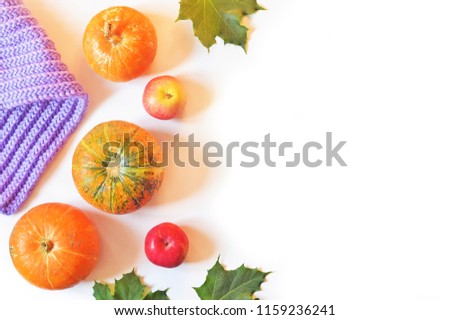 Cozy autumn picture. Three orange pumpkins, red apples, green leaves and a knitted woolen scarf. Flat lay photo fall home decor. Fall season wallpaper, poster