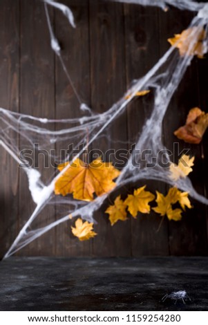 Halloween background of free space for your decoration and cobweb on wooden desk space