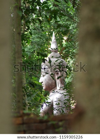 Buddha in forest