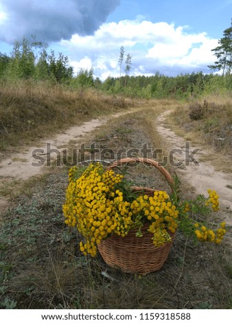 Positive bouquet of yellow flowers in thr basket with forest background