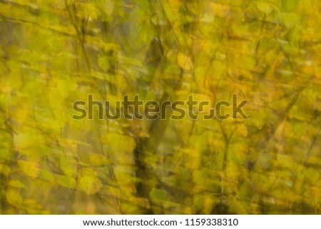 Abstract autumnal colouring