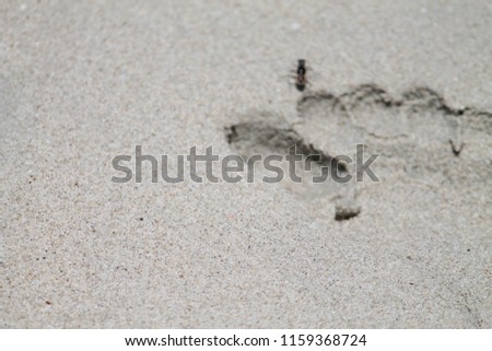 sands and feet