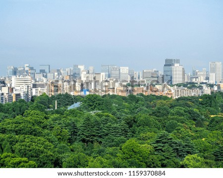 The cityscape of Shinjuku-Tokyo