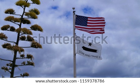 American and a Come And Take It Flag waving in the wind next to a century plant with a blue and white clouds background