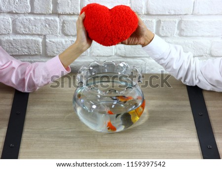 the couple are enjoy with their new hobby,couple  have  new pet goldfish