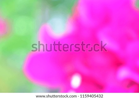 Bougainvilleas Pink flowers and green leaves bokeh Abstract Design and Design Valentine's Day Card The concept of love and wallpaper other opportunities with copy space. 