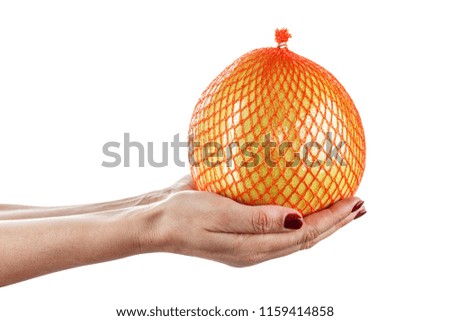 a large citrus fruit. a pomelo in a grid hold in a hand, isolated on a white background.
