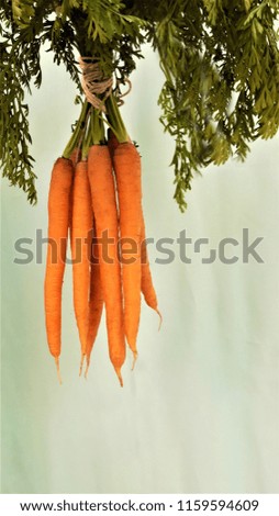 Sweet and freash carrots with leafs on white