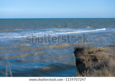 Seaview landscape with seagull/ raging sea
