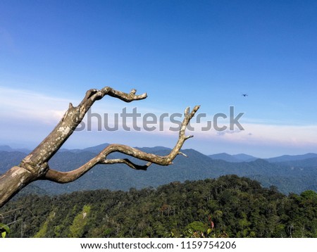 Blue sky, mountains and green forest