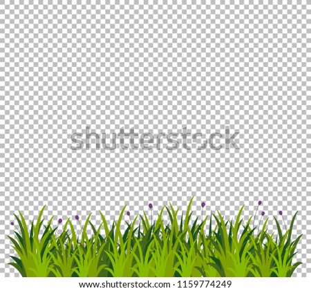 Green grass for decoration on transparent background illustration