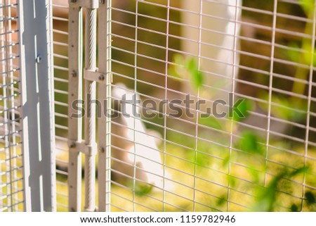Wire Mesh fence used in Zoos, Al ain, Abu Dhabi, UAE