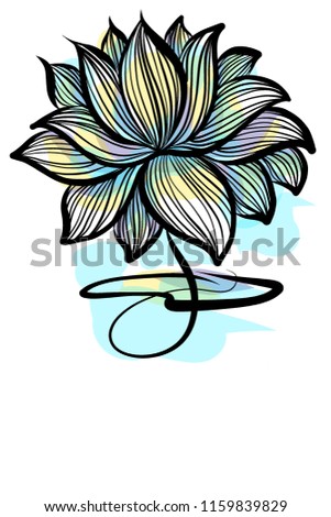 Drawing vector graphics with floral pattern for design. Floral flower natural design. Graphic, sketch drawing.   logotype, Religion, symbol, lotus, water lily, lily 