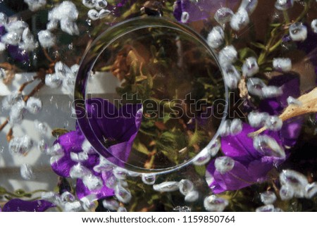 Image of air bubbles and colors. The image is blurry.