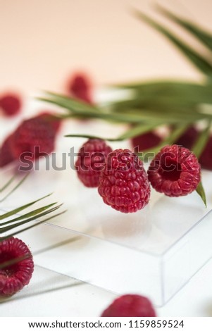 Raspberry with palm leaves on plastic box. minimalism. close up.