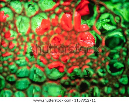 Abstract background, soap foam on the water surface. Beautiful and colorful macro