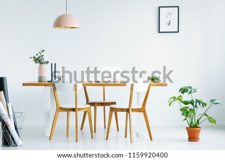 Pink lamp above wooden chairs at table in white interior with poster on the wall and plant. Real photo