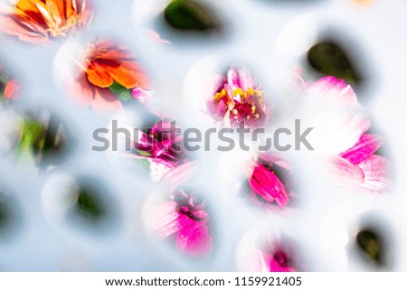 
white abstract background with a silhouette of red and pink flowers