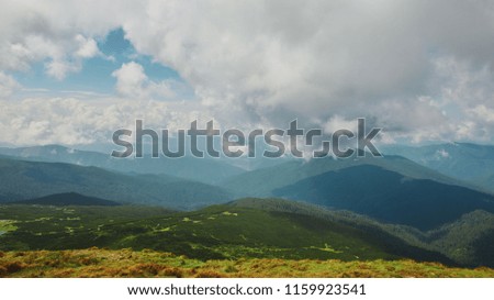 beautiful view of Chornohora mountain ridge and beautiful cloudy sky from slopes of Hoverla mountain. mountain slope in low lying cloud with the evergreen conifers shrouded in mist in a scenic