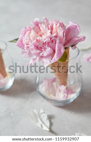 Blooming pink pions with green leaf in wafer cones in glass, petals on a gray background, place for text. Concept of congratulations for Valentine's Day