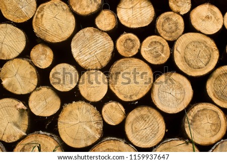 Wood logs pattern background